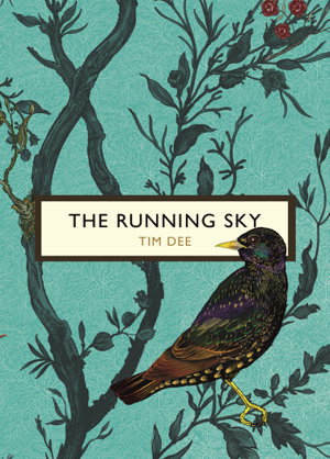 Cover art for The Running Sky The Birds and the Bees A Bird-Watching Life