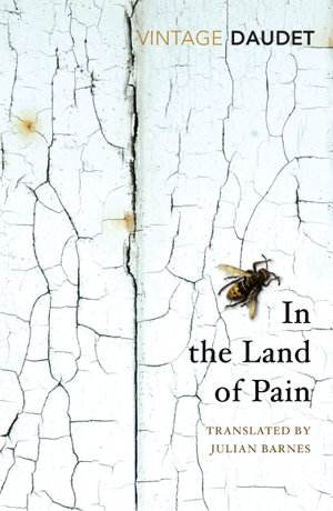 Cover art for In the Land of Pain