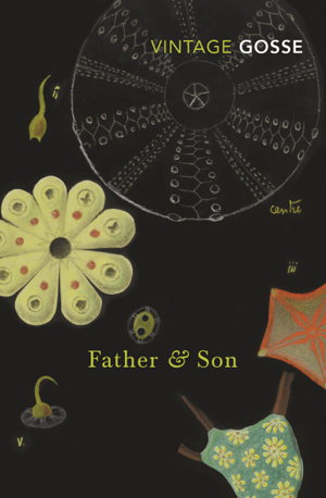 Cover art for Father and Son