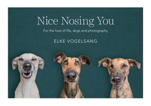 Cover art for Nice Nosing You