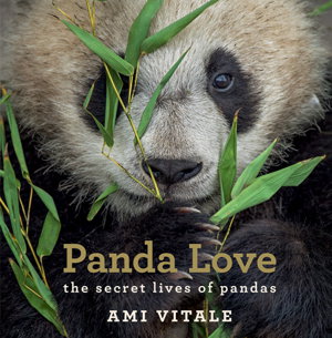 Cover art for Panda Love