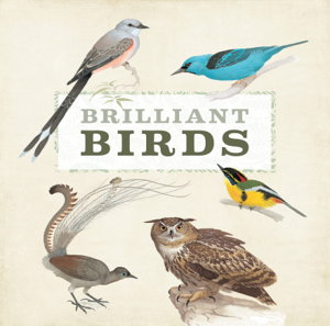 Cover art for Brilliant Birds