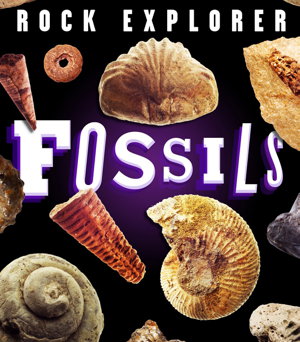 Cover art for Rock Explorer