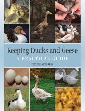 Cover art for Keeping Ducks and Geese