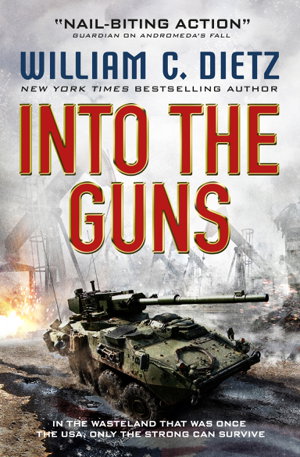 Cover art for Into the Guns