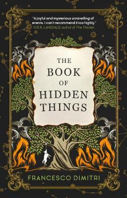 Cover art for The Book of Hidden Things