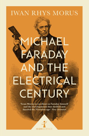 Cover art for Michael Faraday and the Electrical Century (Icon Science)