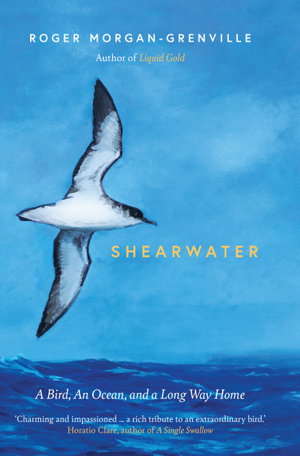 Cover art for Shearwater