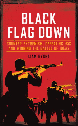 Cover art for Black Flag Down
