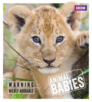 Cover art for Animal Babies