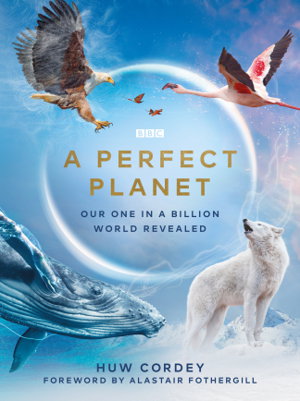 Cover art for A Perfect Planet
