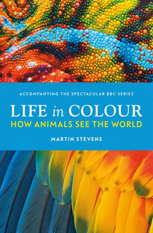 Cover art for Life in Colour