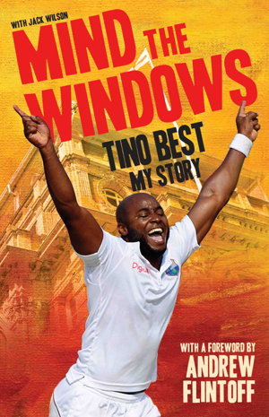 Cover art for Mind the Windows