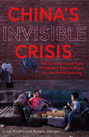 Cover art for China's Invisible Crisis