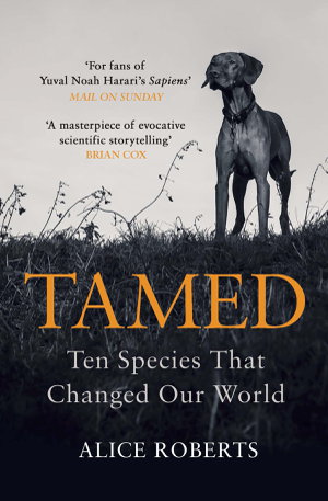 Cover art for Tamed