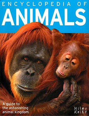 Cover art for Encyclopedia Of Animals