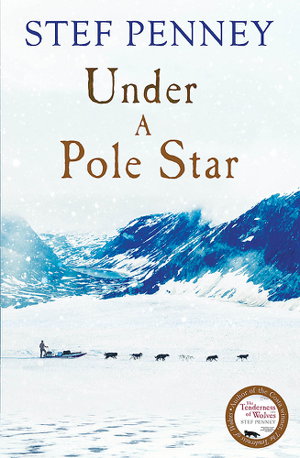 Cover art for Under a Pole Star