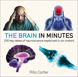 Cover art for The Brain in Minutes