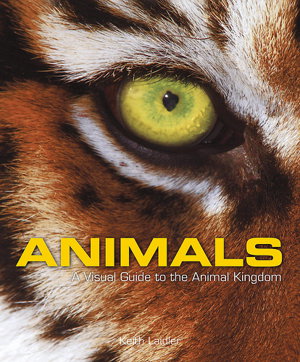 Cover art for Animals