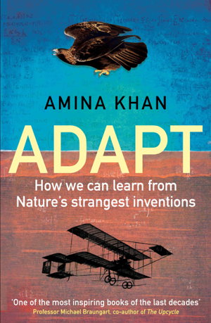 Cover art for Adapt