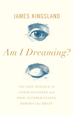 Cover art for Am I Dreaming?