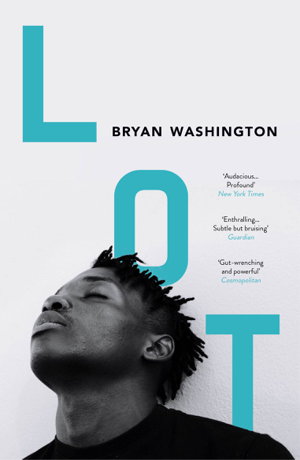 Cover art for Lot