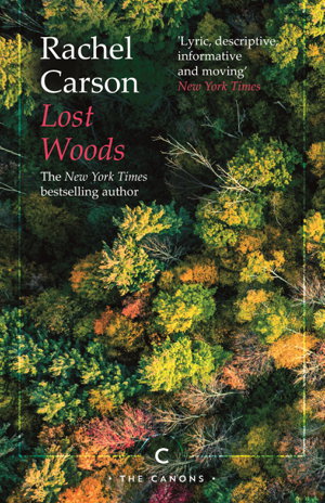 Cover art for Lost Woods