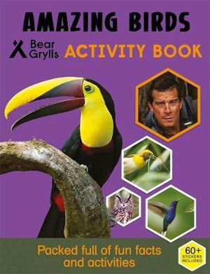 Cover art for Bear Grylls Activity Series