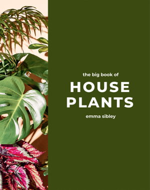 Cover art for The Big Book of House Plants