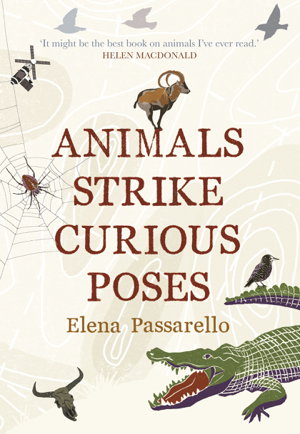 Cover art for Animals Strike Curious Poses