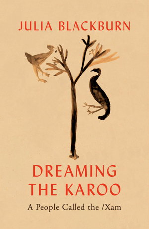 Cover art for Dreaming the Karoo