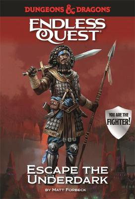 Cover art for Dungeons & Dragons Endless Quest