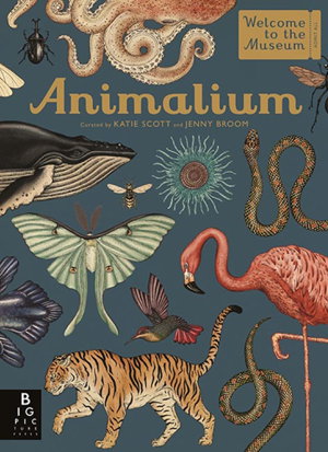 Cover art for Animalium