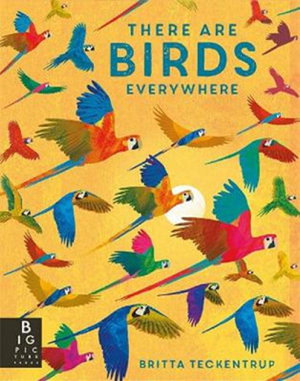 Cover art for There are Birds Everywhere