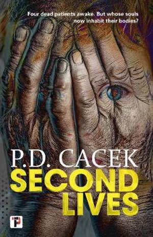 Cover art for Second Lives