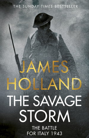 Cover art for The Savage Storm