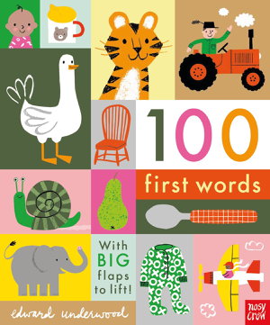 Cover art for 100 First Words