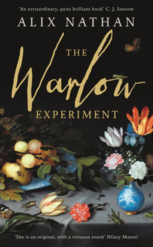 Cover art for The Warlow Experiment