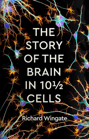 Cover art for Story of the Brain in 10 1/2 Cells