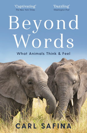 Cover art for Beyond Words