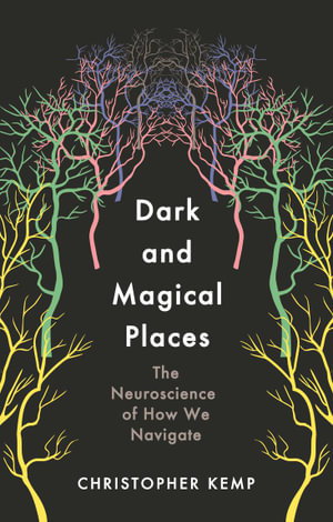 Cover art for Dark and Magical Places