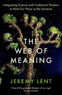 Cover art for The Web of Meaning