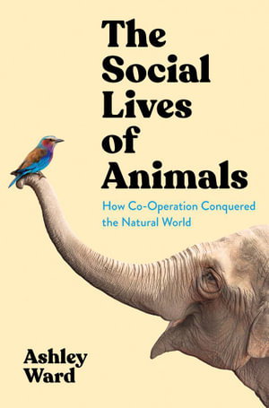 Cover art for The Social Lives of Animals