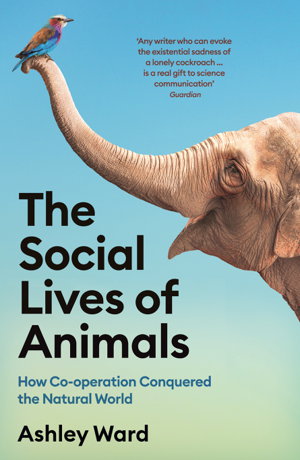 Cover art for The Social Lives of Animals