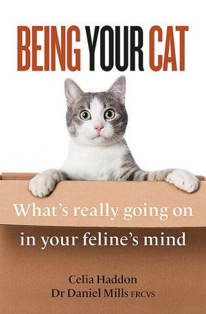 Cover art for Being Your Cat