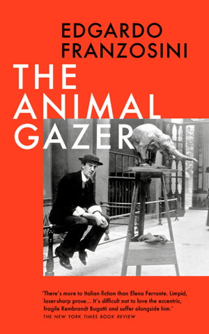 Cover art for Animal Gazer