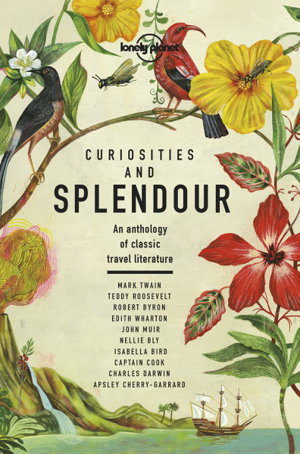 Cover art for Curiosities and Splendour
