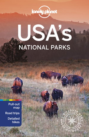 Cover art for Lonely Planet USA's National Parks