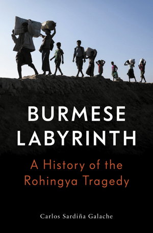 Cover art for The Burmese Labyrinth