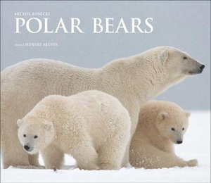 Cover art for Polar Bears
